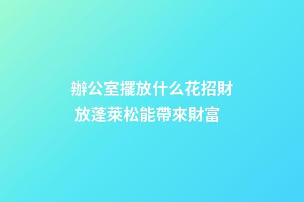 辦公室擺放什么花招財 放蓬萊松能帶來財富